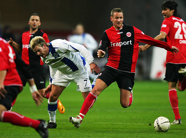 开拓荷兰乃 开拓荷兰乃